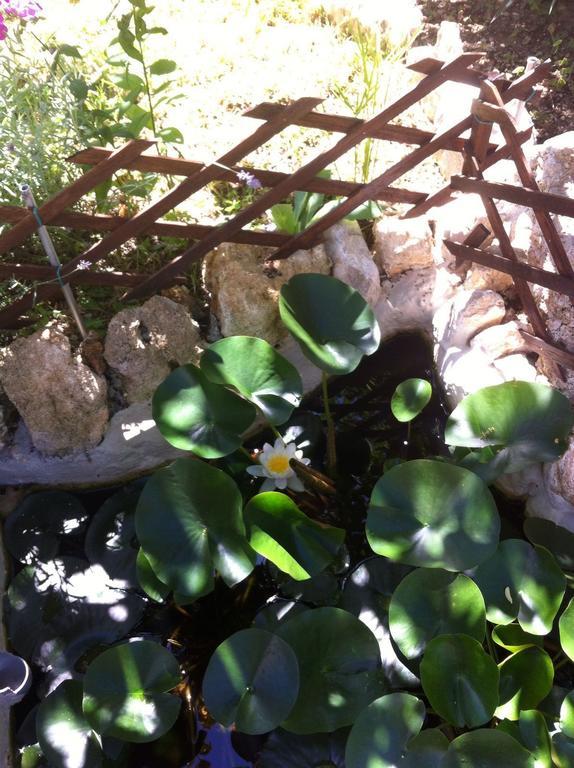 Bed & Breakfast A Casa Di Mamma